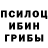 Галлюциногенные грибы Psilocybe Stalin Moreira