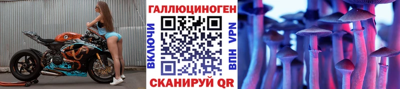 Купить  Ангарск  Галлюциногенные грибы MAGIC MUSHROOMS 